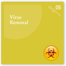 Fixed Price Virus and Spyware Removal