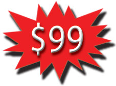 $99 Fixed Price Virus and Spyware Removal